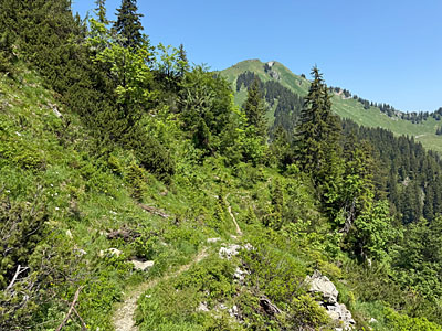 ...und verlieren in der Folgezeit einige Höhenmeter