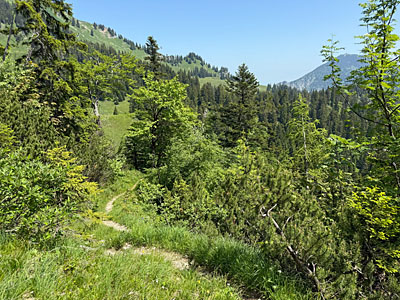 Dabei queren wir die Ostseite des Hochsattels