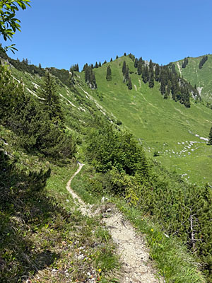 ...führt uns der Pfad...