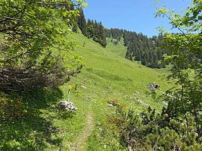 ...zum Wiesengelände der Grundbachalm hinunter