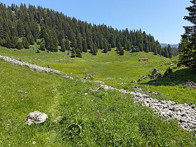 ...und steuern im Anschluss...