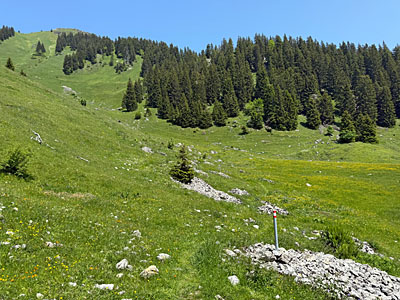 Markierungsstangen zeigen uns die weitere Route