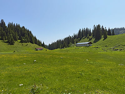 Blick zur Grundbachalm