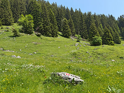 In einem kurzen Gegenanstieg...