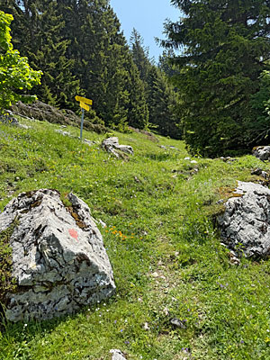 ...erreichen wir einen Querweg...