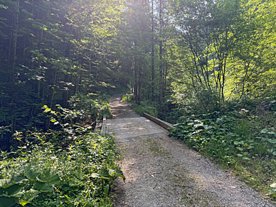 Eine erste Brücke...