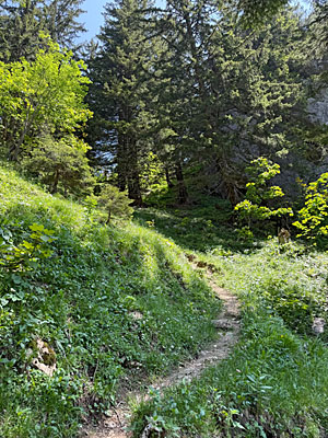 Im Anschluss schlängelt sich der Pfad...