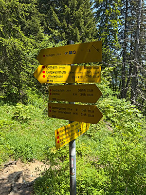 ...stoßen wir auf eine Kreuzung