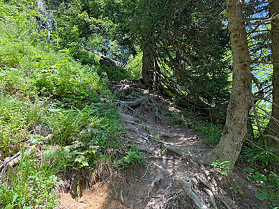 Wir gehen geradeaus weiter...