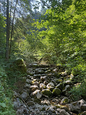 ...leitet uns über das Bachbett
