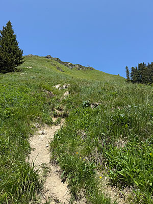 Der Pfad wird deutlich steiler