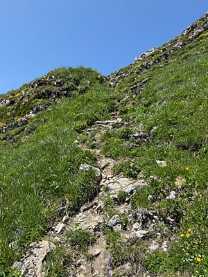 Ein steiniges Weglein... 