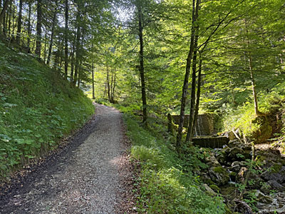 Auf der nun linken Uferseite...