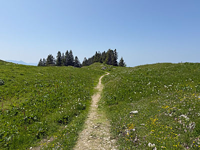 Wir wandern über den Wiesenrücken bergab