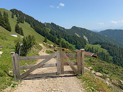 ...passieren ein Gatter...