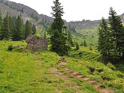 Weiter auf die Brunnenauscharte zu