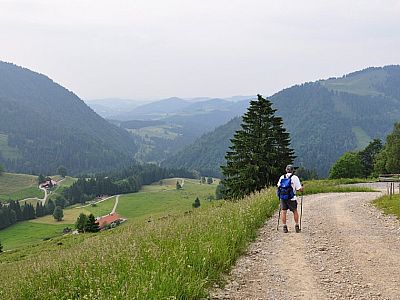 durch die Wiesen im Nordhang.