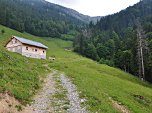zu einer Alm.