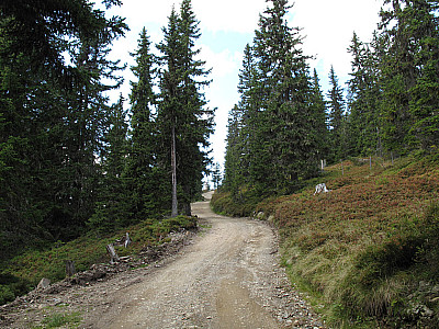 Nun ist's nicht mehr weit