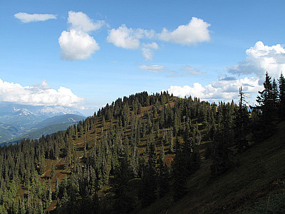 ...und zum Gipfel des Hochgründecks