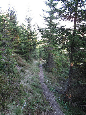 Über den Weg 453a bergab...