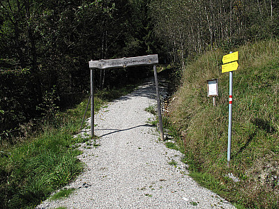 ...geht es in den Bergwald hinein