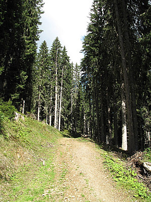 Zuerst weiter über einen breiten, ...