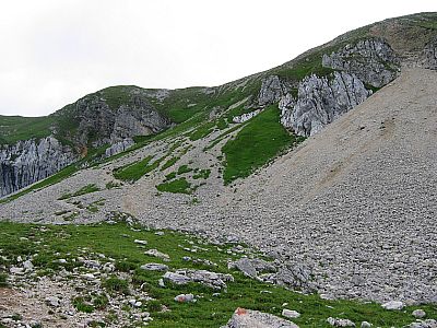 Links der Streichkopf