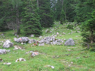 Pfad zum Kotalmsattel