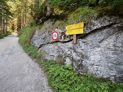 Wir zweigen nach links zur Schärtenalm ab