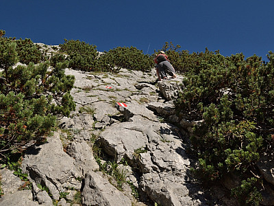 Gut markiert geht es steil ...