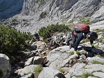 ... durch die mit Latschen durchsetzte Wand.