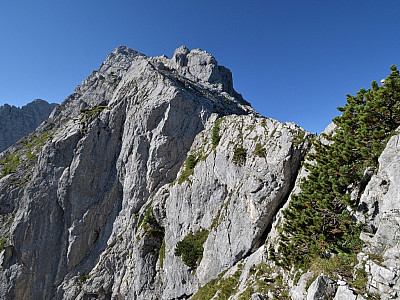 Dem Grat Richtung Rotpalfen und Kleinkalter folgen wir die nächste Zeit