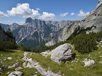 in etwa 1800 Metern Höhe wird es wieder grüner