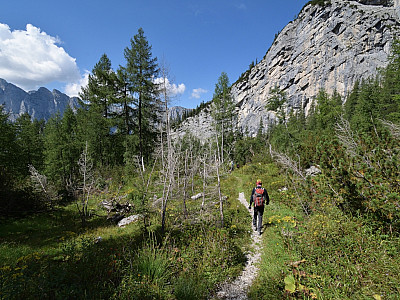Entspannt erreichen wir die ersten Bäume