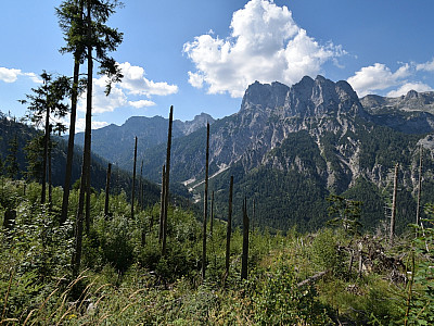 Die Reiter Alpe zeigt sich von ihrer Sonnenseite