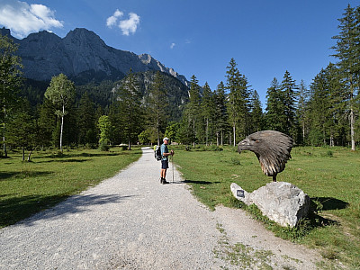 ... Adlerkopf beeindrucken am Wegesrand.