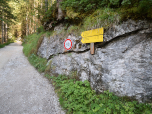 Wir zweigen nach links zur Schärtenalm ab
