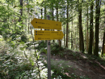 Der Abstieg ist hier weitgehend geschafft, ...