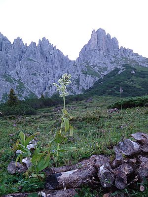 Aufstieg vom Dientner Sattel