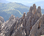 Wilde Zacken wo man hinschaut
