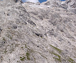 Immer wieder der Blick nach oben