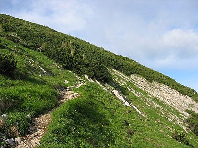 Der Weg wird etwas steiler