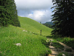 Abzweigung nach dem Wald