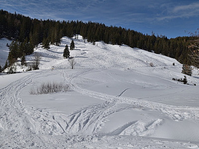 Nach der Alm ist es kurz flach