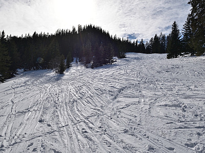 Durch die Schneise rechts steigen wir weiter auf