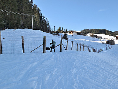 Durch eine Lücke im Zaun...