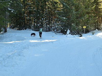 Hier biegen wir im Aufstieg links ab