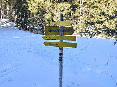 Der Aufstieg zur Falkenmoosalm ist gut beschildert