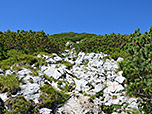 In den Latschengassen kann es im Sommer sehr heiß werden